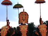 Thrikkakara Temple – The Centre of Onam Celebrations