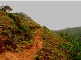 Trek to Kodachadri 
