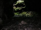 Exploring through the Magnificent Fauna of Chhattisgarh