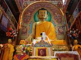 Thrilling Trek at Tawang 