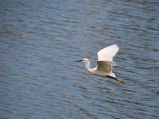 Lakes of Mumbai: Temptingly Picturesque!