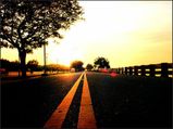A Journey through East Coast Road!
