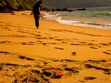 Best Places to Visit in India After Breakup!