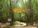 Weekend Getaway - Bangalore to Coorg 