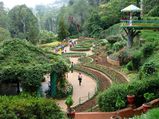 Weekend Getaway: Hang Out in Ooty