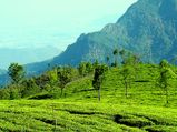 10 Best Places To Visit In March In South India 2020