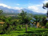 24 hours in Munnar!