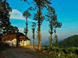 NOW is the Best Time to Visit Kerala!
