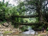 Best Places to see in Meghalaya