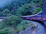 A Deccan Odyssey of Wild Maharashtra 