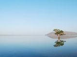 Natural Attractions in India
