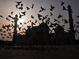 Indian Golden Triangle: A Travel Guide