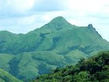 A Weekend Trip from Bangalore to Sakleshpur