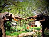 Kerala Tourist Places for All Seasons