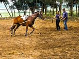 A Weekend Trip from Bangalore to Mangalore