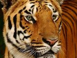 Karnataka Tourist Places for All Seasons
