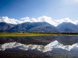 World Environment Day Spcl: Exploring Ladakh