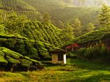 Top Places To Visit In South India During July