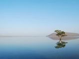 Warangal, Land of History