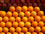 The Orange City of Nagpur, Maharashtra