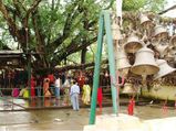 Rejuvenating Trip to Tinsukia