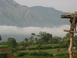 15 Beautiful Hill Stations in South India