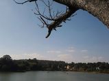 A Trip to the Hills of Yelagiri