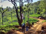 Top 12 Hill Stations to Visit in Tamil Nadu