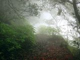 Hill Stations in Maharashtra