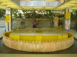 Travel to the Spiritual Town of Gorakhpur
