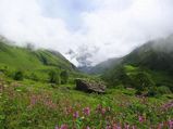 Travel to the Scenic Hill Stations of Uttarakhand