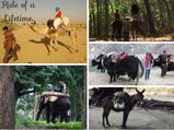 5 Unique Means of Transport in India!