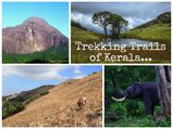 5 Popular Trekking Trails of Kerala