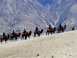 5 Camel Safari Destinations in India
