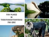 5 Places to Visit in Thiruvanathapuram with Kids