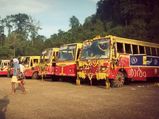 A Spiritual Journey to Sabarimala in Photos