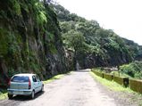 Pune to Kaas Plateau - A Trail of Wildflowers and Winding Roads!
