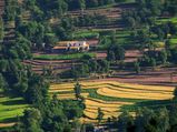 Travel to the Colonial Town of Kasauli