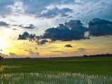 Travel to the Peaceful Town of Midnapore