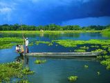Scenic Vistas of North East India