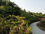 Travel to the Commercial Hub of Mohali