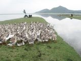 Travel to the Heavenly Town of Baramulla