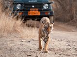 Scenic Vistas of Rajasthan