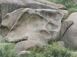 Travel to Viratnagar, the Land of Wonders