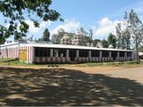 Tamil Nadu Tourism – The Scenic Town of Kolli Hills