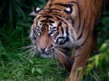 Andaman and Nicobar Islands – National Parks