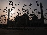 Delhi Tourism – Vistas of Jama Masjid
