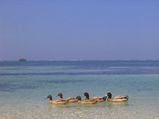 Mesmerising Islands of Lakshadweep