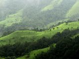 Top Monsoon Destinations in Karnataka