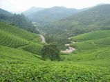 10 Places to Visit in South India this September